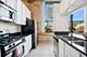 1727 S Indiana Unit 301, Chicago, IL 60616
