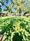 722 N Pinecrest, Bolingbrook, IL 60440