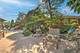 10127 S Hoyne, Chicago, IL 60643