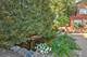 10127 S Hoyne, Chicago, IL 60643