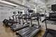 1325 W Wilson Unit 1005, Chicago, IL 60640