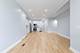 1520 S Christiana, Chicago, IL 60623