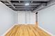 1520 S Christiana, Chicago, IL 60623