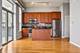 1919 S Michigan Unit 301, Chicago, IL 60616