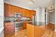 1919 S Michigan Unit 301, Chicago, IL 60616