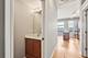1919 S Michigan Unit 301, Chicago, IL 60616