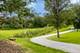 14 Kildeer, Woodridge, IL 60517