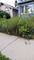 4722 W Parker, Chicago, IL 60639