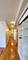 832 Seward Unit 1, Evanston, IL 60202