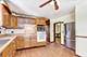 13147 S Brandon, Chicago, IL 60633
