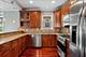 5706 W Dakin, Chicago, IL 60634