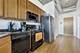 1033 W 14th Unit 338, Chicago, IL 60608