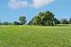 23045 S Wirth, Frankfort, IL 60423