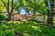 1136 N Walnut, Arlington Heights, IL 60004