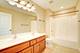 25764 W Sunnymere, Plainfield, IL 60585