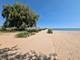 1958 W Morse Unit B, Chicago, IL 60626