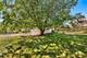970 N Fischer, Addison, IL 60101