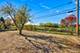 970 N Fischer, Addison, IL 60101