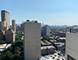 2754 N Hampden Unit 1706, Chicago, IL 60614