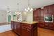 52 Oak Creek, Yorkville, IL 60560
