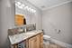 314 Mastodon, Ingleside, IL 60041