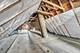 1330 S 49th, Cicero, IL 60804