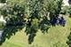 23810 S Ashland, Crete, IL 60417
