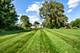 1725 E 158th, South Holland, IL 60473