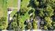 1725 E 158th, South Holland, IL 60473