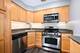 820 W Wolfram Unit B, Chicago, IL 60657