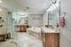 810 N Marion, Oak Park, IL 60302