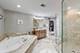 810 N Marion, Oak Park, IL 60302
