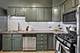 410 S Austin Unit 3S, Oak Park, IL 60304