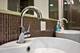 1313 Chatham, Woodstock, IL 60098
