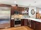 111 Home Unit 10, Oak Park, IL 60302