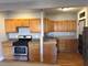 313 N Oak Park Unit 1B, Oak Park, IL 60302
