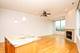 1001 N Milwaukee Unit 202, Chicago, IL 60642