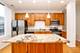 1001 N Milwaukee Unit 202, Chicago, IL 60642
