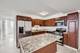 7234 W North Unit 1602, Elmwood Park, IL 60707