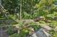 212 S East, Oak Park, IL 60302