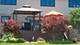 17631 Dover, Tinley Park, IL 60487