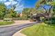 22 Park Unit 203, Park Ridge, IL 60068