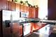 949 N Willard Unit 502, Chicago, IL 60642