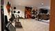 1369 Ginger, Naperville, IL 60565