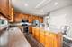 203 Tonell, New Lenox, IL 60451