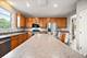 203 Tonell, New Lenox, IL 60451
