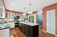 739 Alleghany, Grayslake, IL 60030
