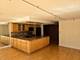 40 E Cedar Unit 21C, Chicago, IL 60611
