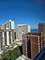 40 E Cedar Unit 21C, Chicago, IL 60611