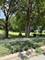 1596 Oxford, Des Plaines, IL 60018